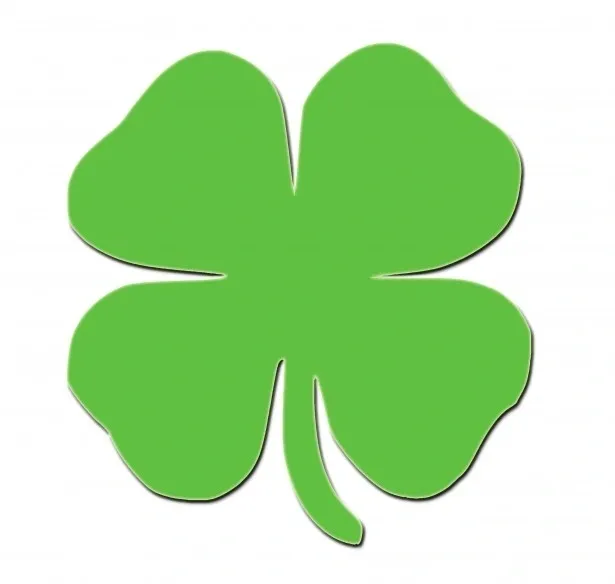 A green four leaf clover is shown on the white background.
