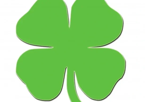 A green four leaf clover is shown on the white background.